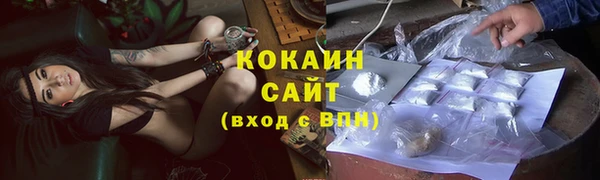 стаф Каменск-Шахтинский