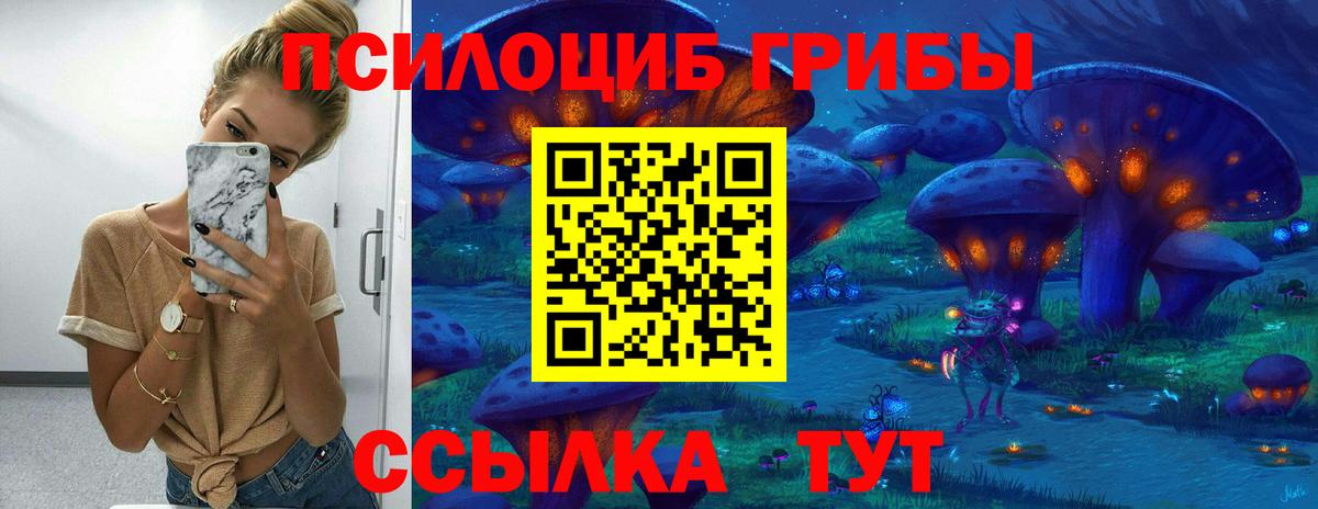 Псилоцибиновые грибы прущие грибы Вичуга