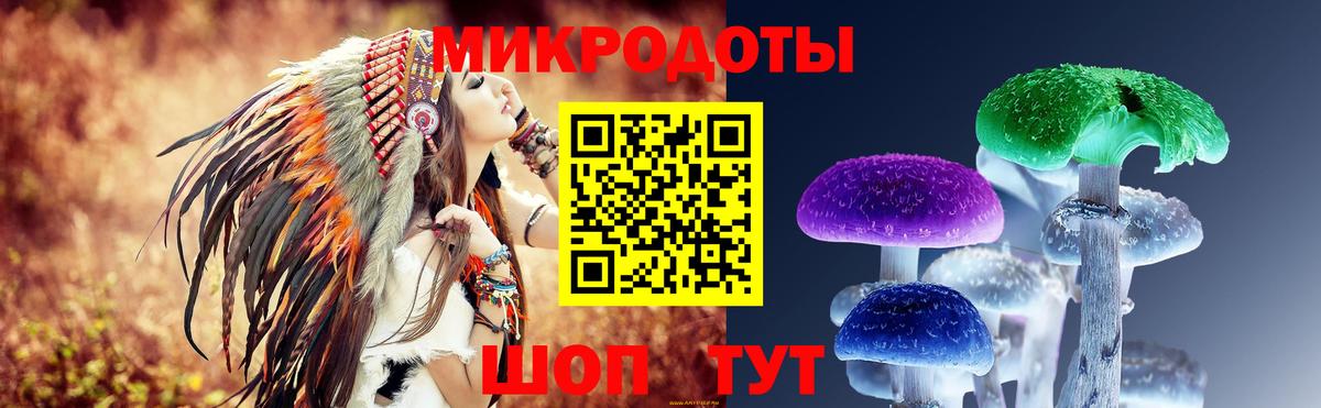 Псилоцибиновые грибы Psilocybe  купить наркоту  Вичуга 